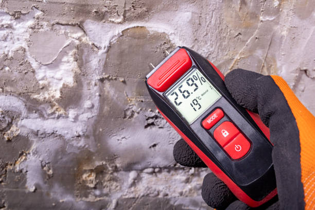 Best Affordable Mold Removal  in Wolcott, IN