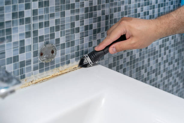 Office Mold Removal Services in Wolcott, IN