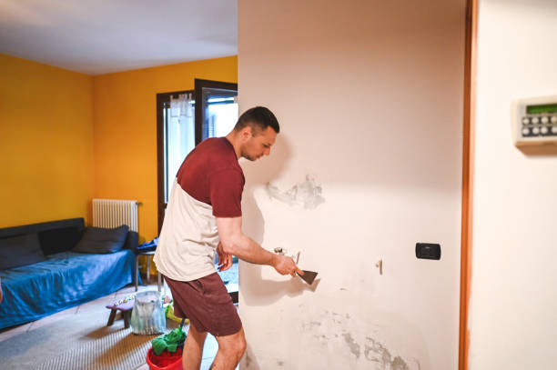 Best Attic Mold Removal  in Wolcott, IN