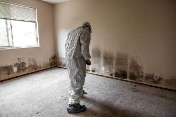 Best Crawl Space Mold Removal  in Wolcott, IN