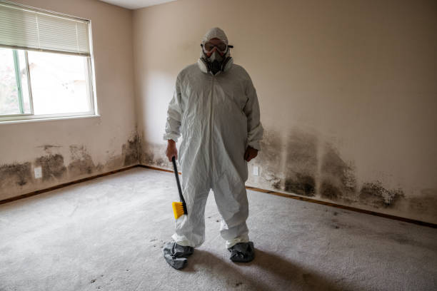 Best Professional Mold Removal  in Wolcott, IN
